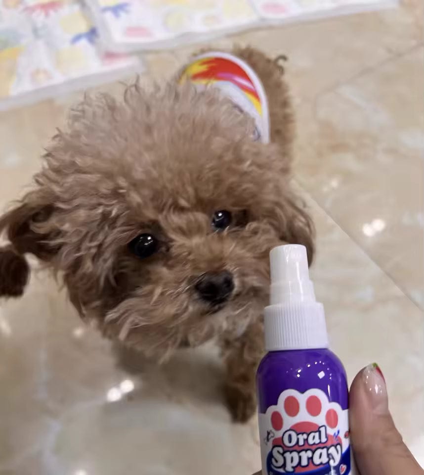 Customer photo review of Elimina el mal aliento de tu mascota en segundos 🐾