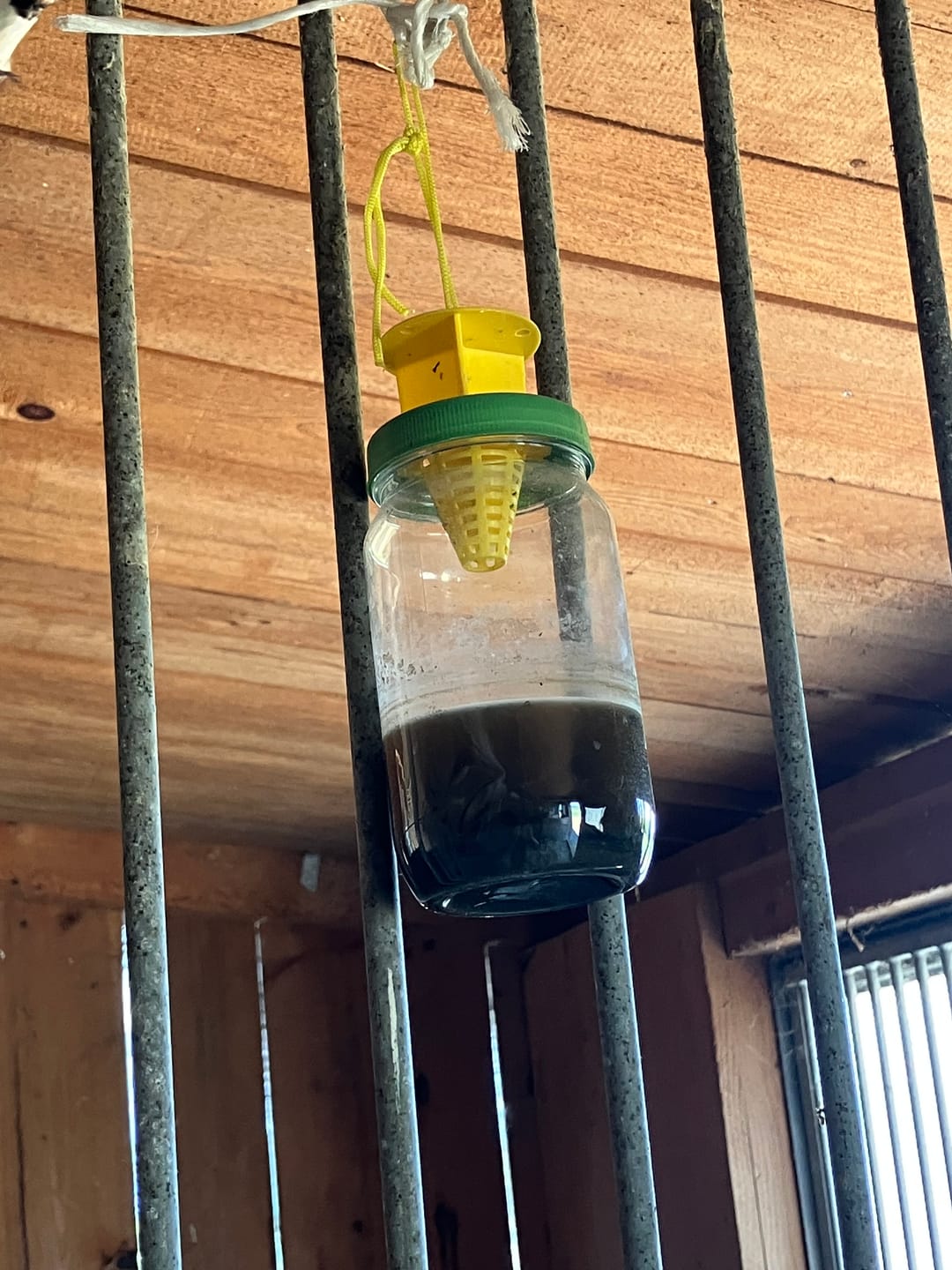 Customer photo review of Liquid Trap Köder – Bio-Lockstoff für Fliegen & Bremsen