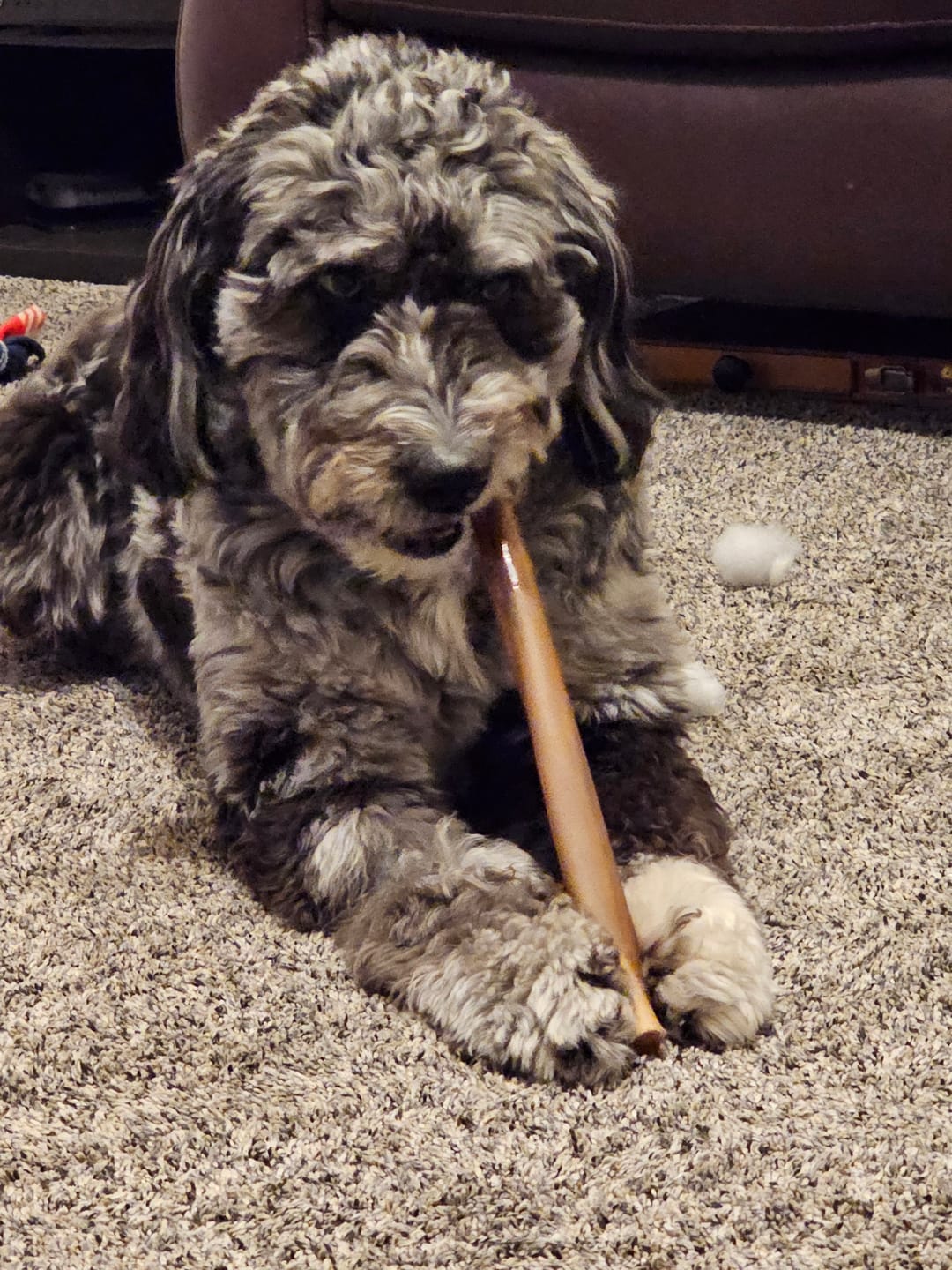 Customer photo review of Super Bull Sticks