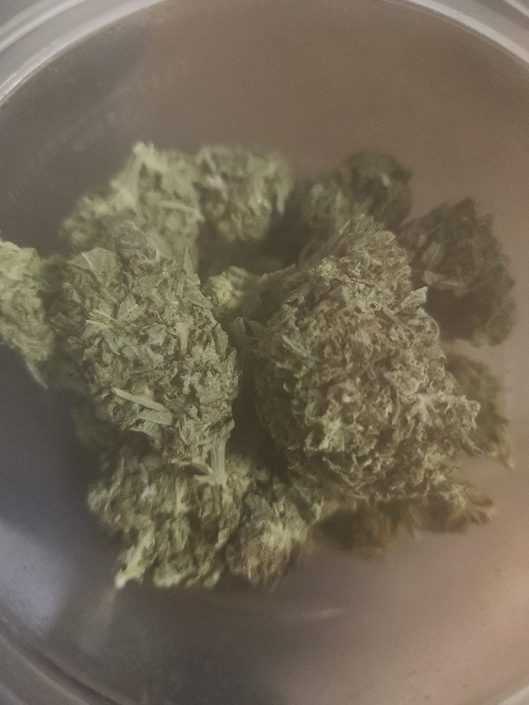Customer photo review of Blue Sharpiez THCA Flower