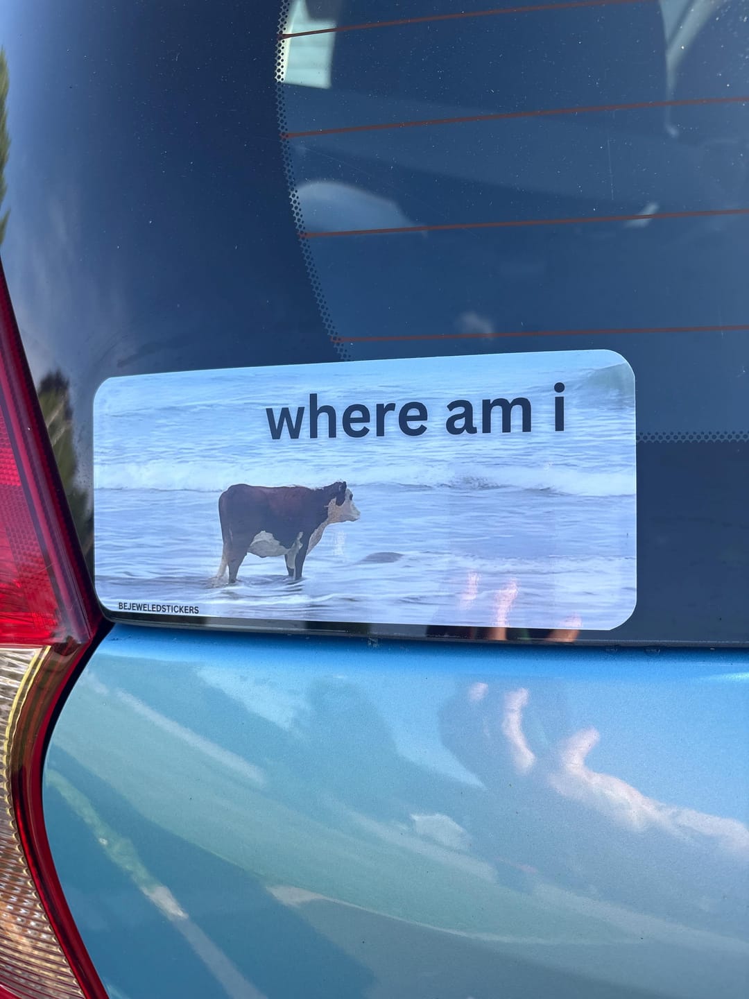 Customer photo review of i may be stupid / where am i / customizable text