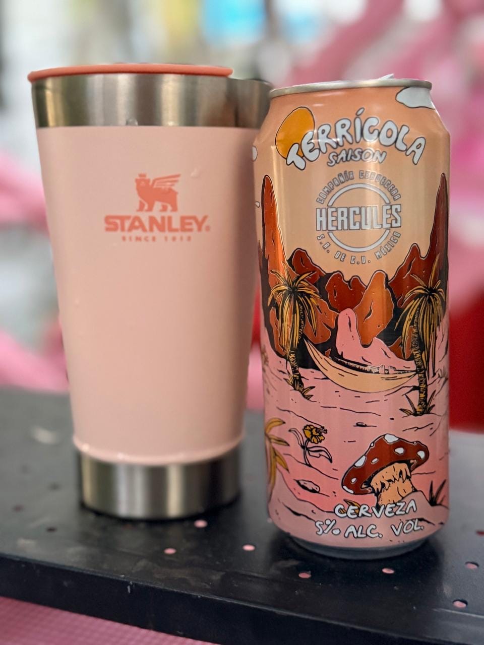 Customer photo review of Stanley Classic Stay Chill Beer Pint | 473ML