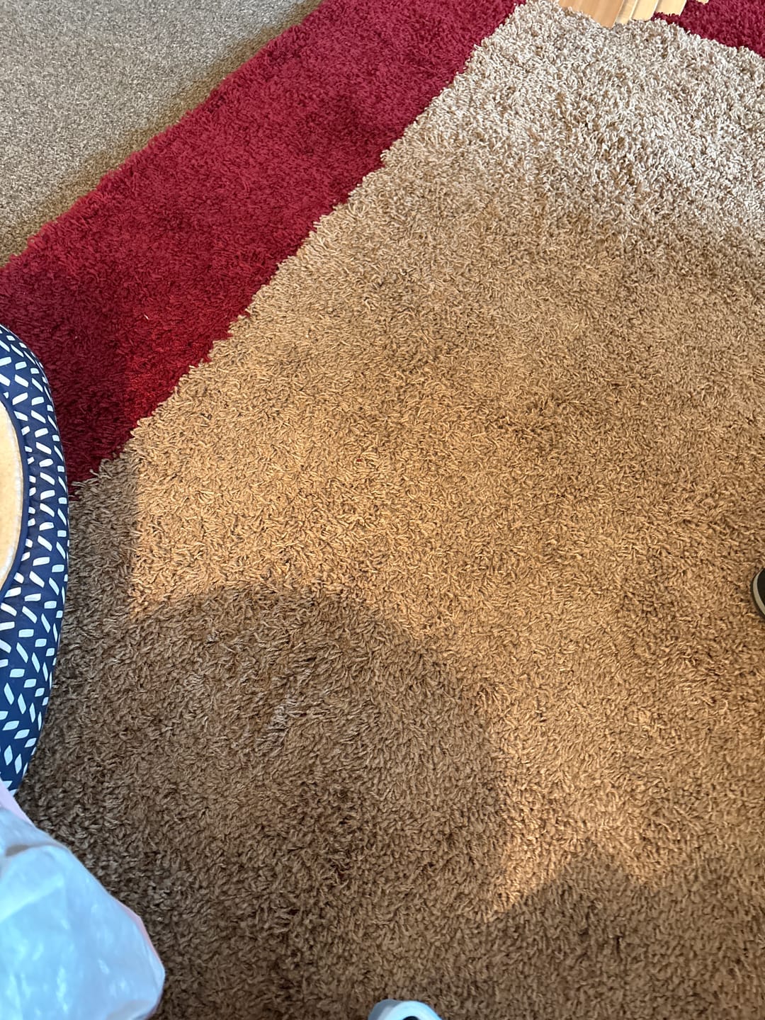 Customer photo review of Sorrel - Barefoot Shoes