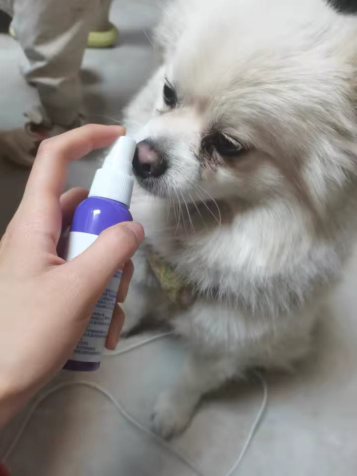 Customer photo review of Elimina el mal aliento de tu mascota en segundos 🐾