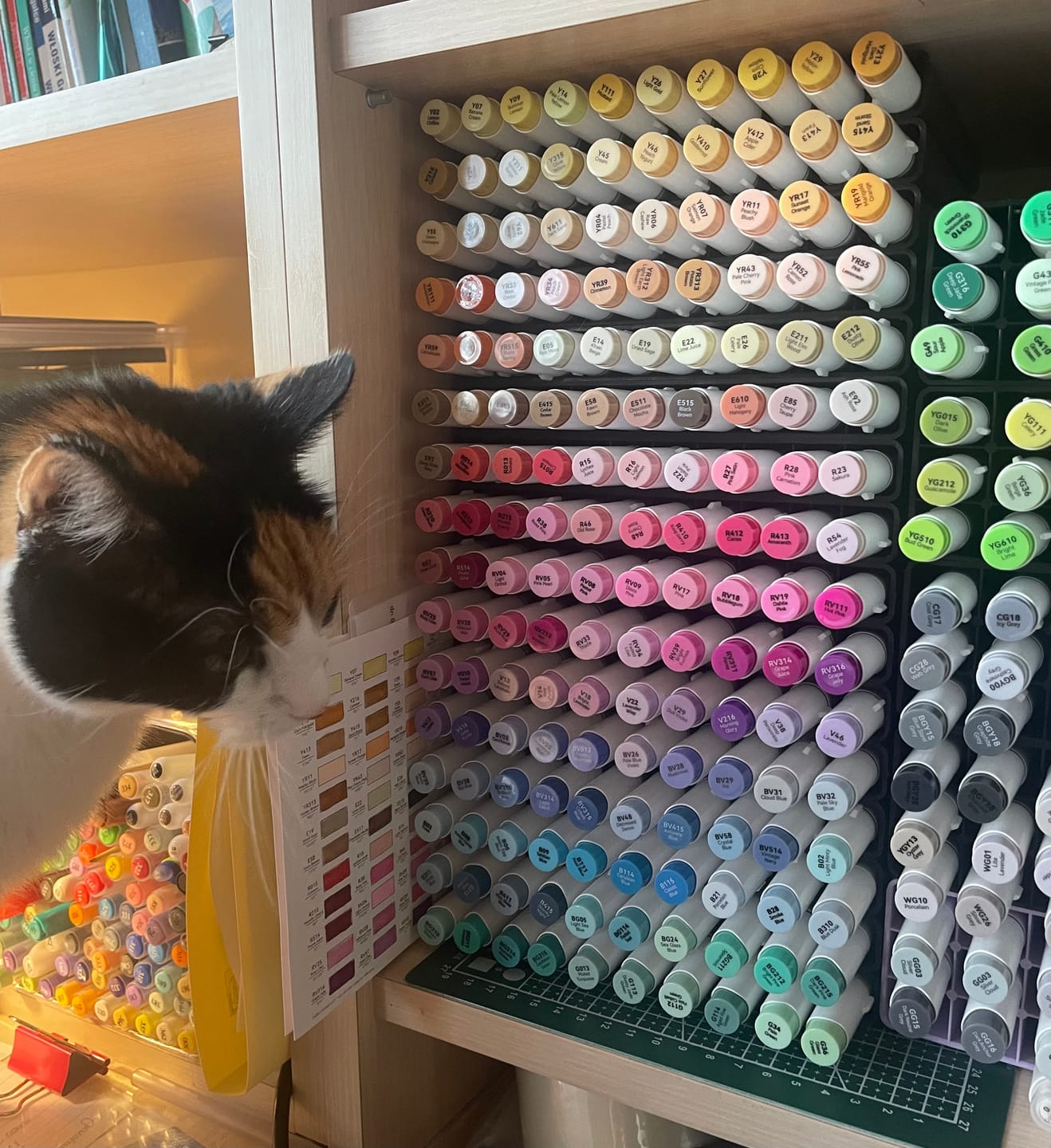 Customer photo review of Ohuhu Honolulu 216 Colors Dual Tips Alcohol Art Markers (New Color Codes)