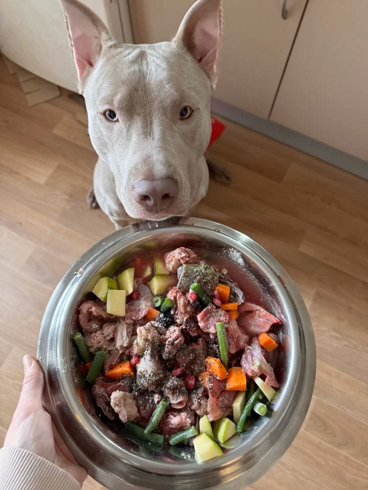 Customer photo review of Pack Nutrición para Mascotas + Bonos