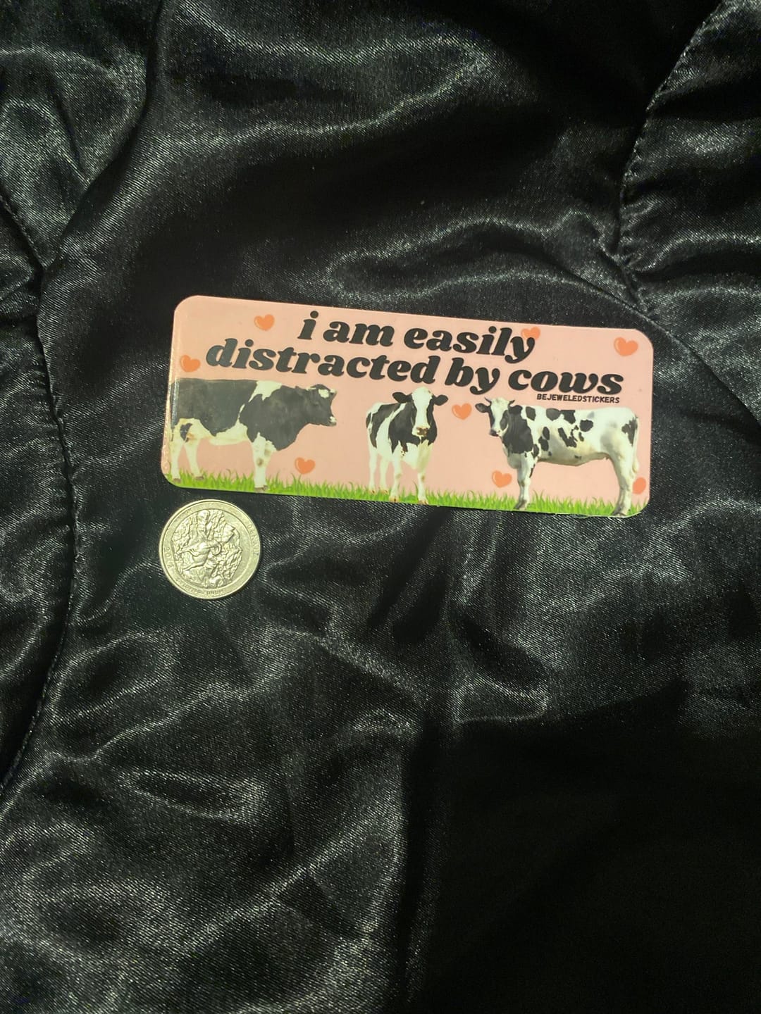Customer photo review of I am easily distracted by cows