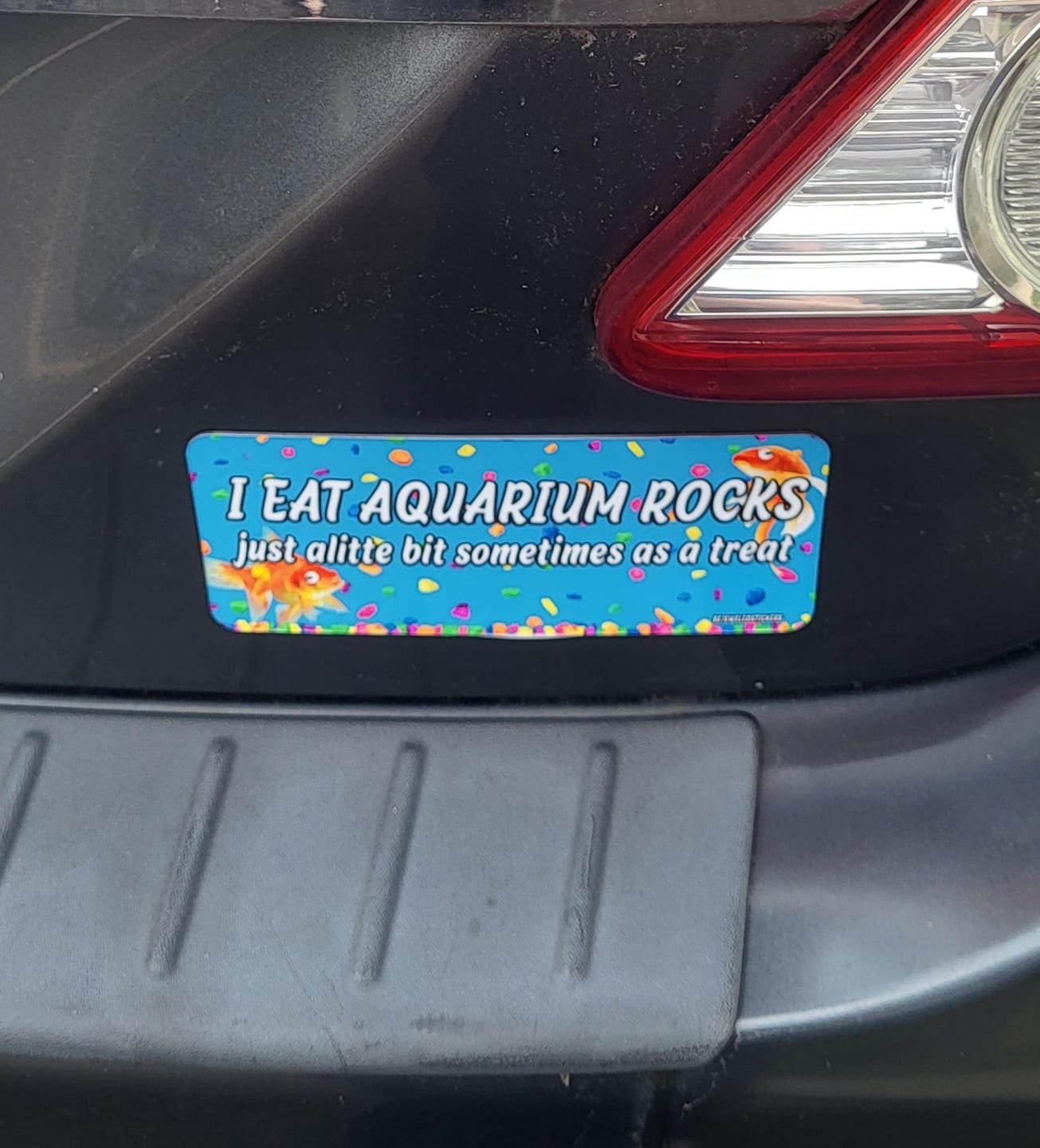 Customer photo review of I Eat Aquarium Rocks