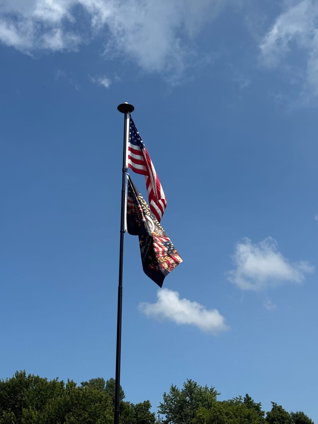Customer photo review of The Eagle Rises: America 250th Anniversary Flag