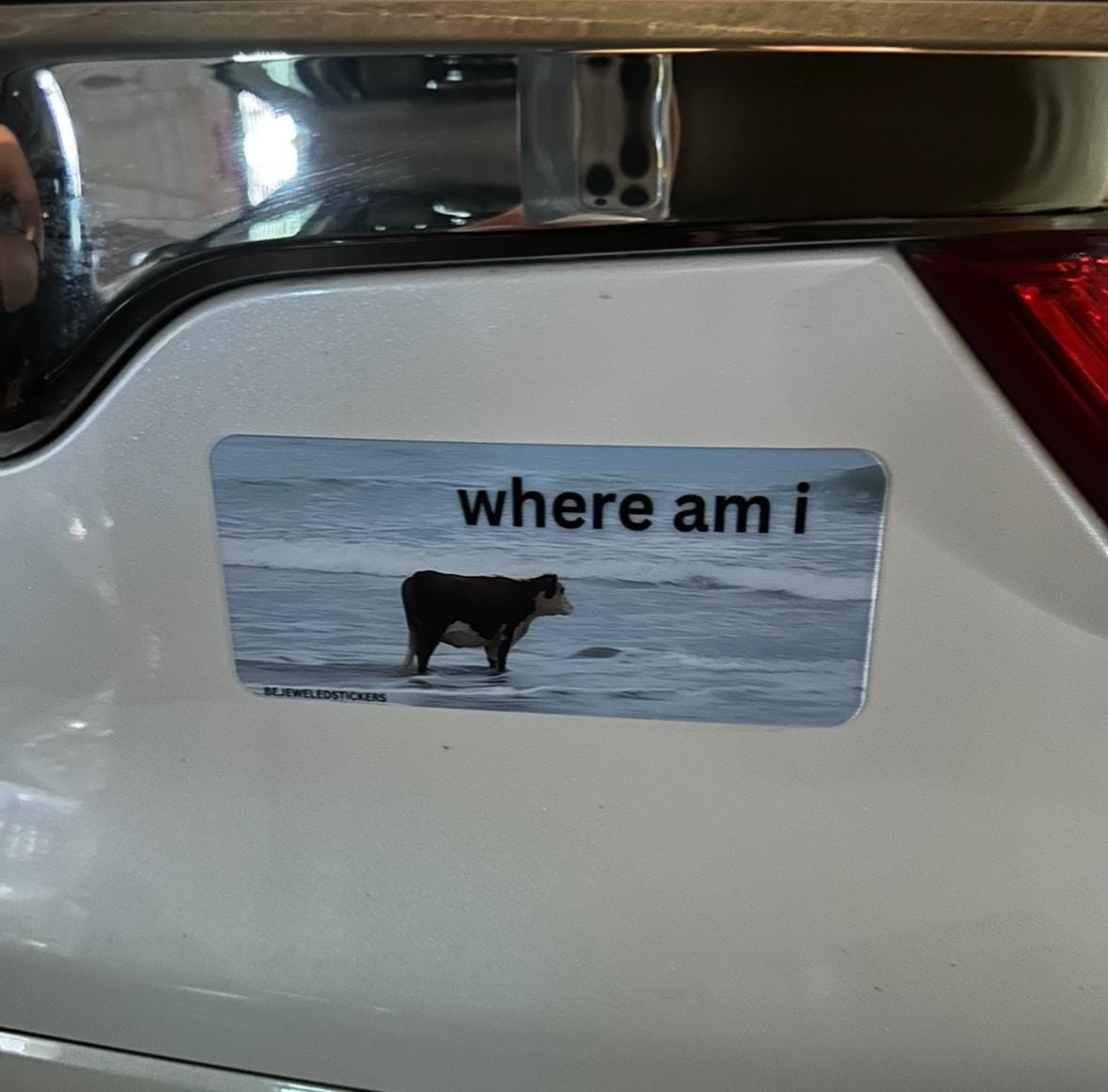 Customer photo review of i may be stupid / where am i / customizable text