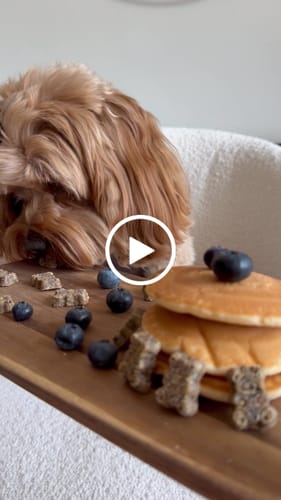 Customer video review of Blueberry Pancake Teddy Bear Soft Treats