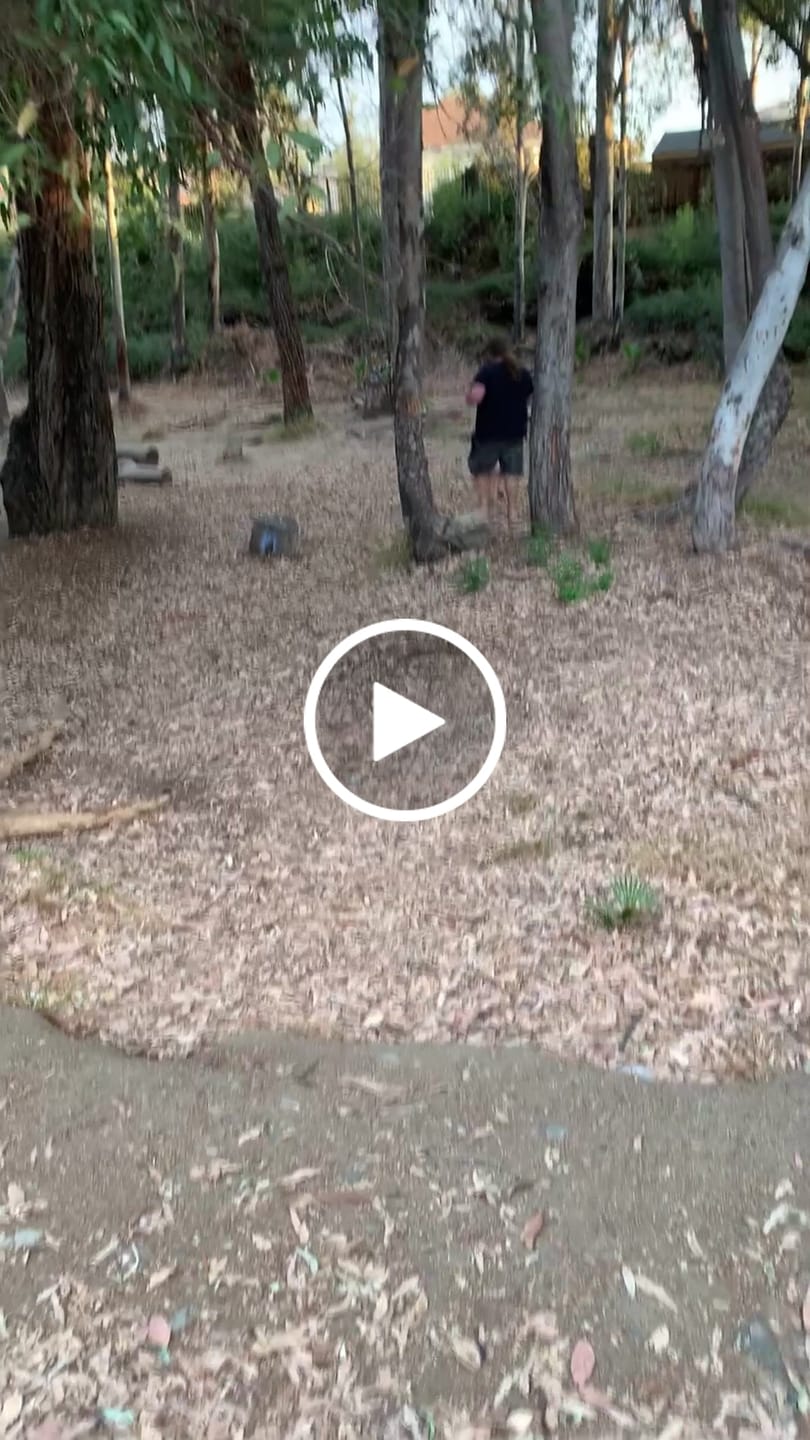 Customer video review of K9 Belly Bliss™