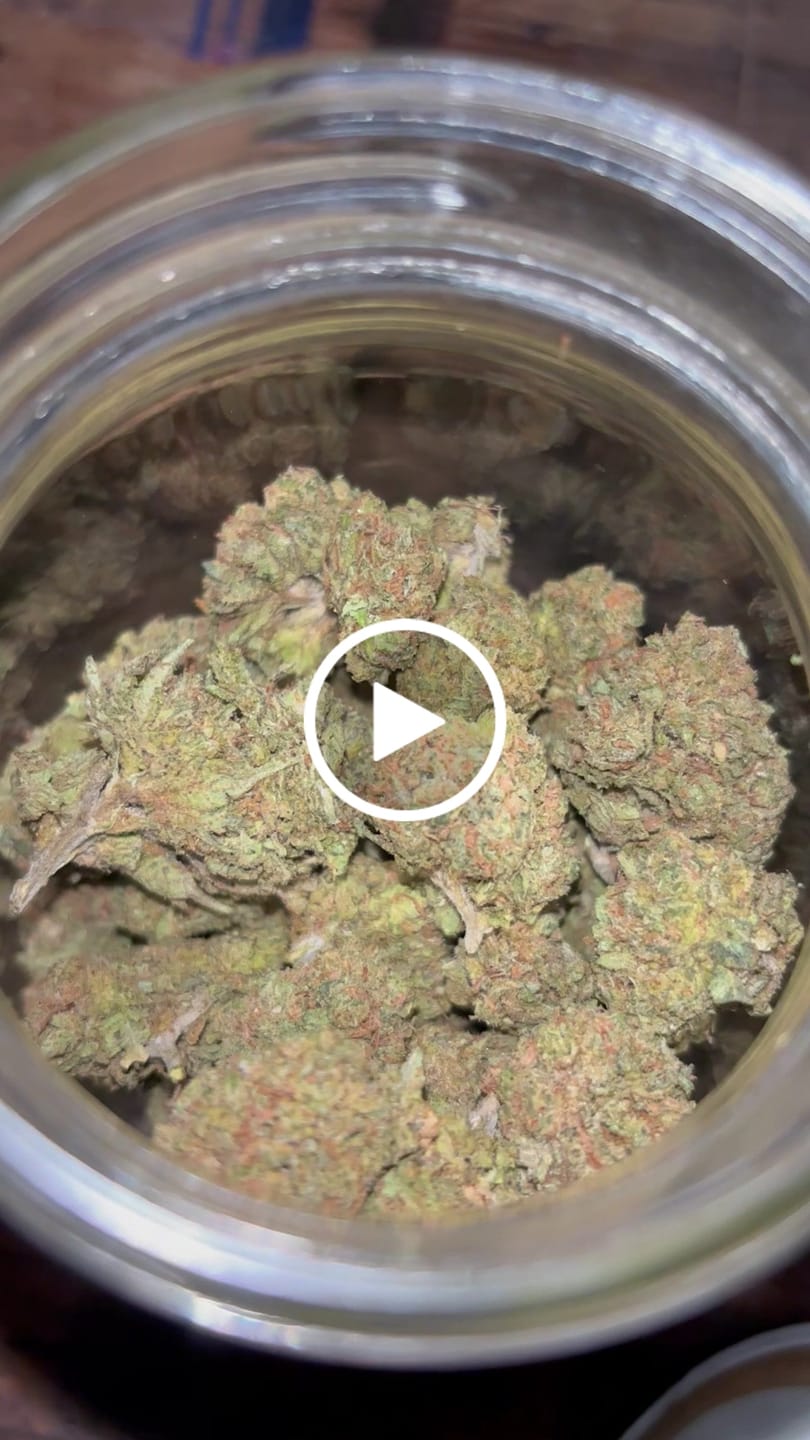 Customer video review of Toad Crossing THCA Flower