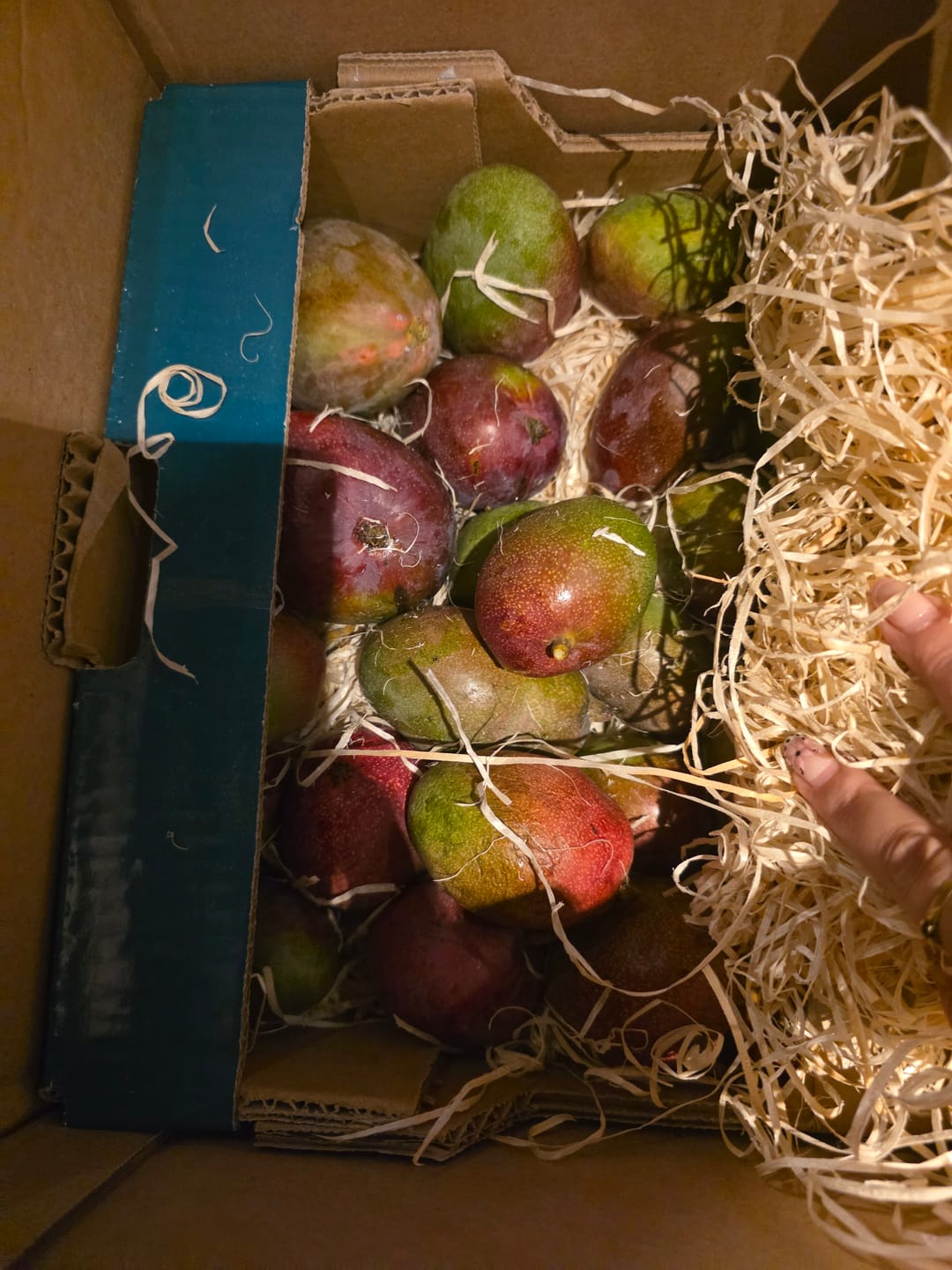 Customer photo review of Pfirsich-Mix "Alte Sorten" Bio von Jose Miguel 3kg Box