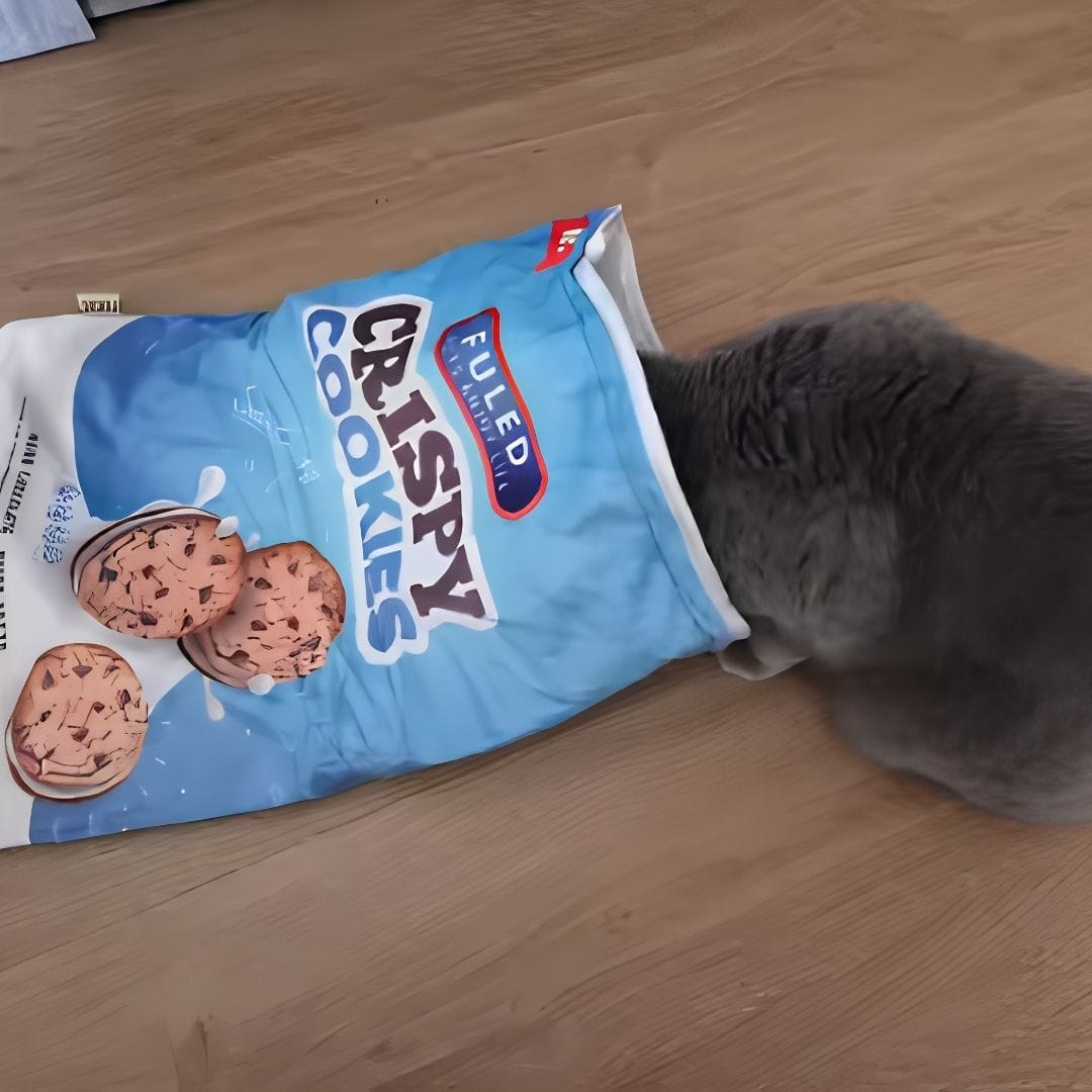 Customer photo review of Crinkle Cat Bed