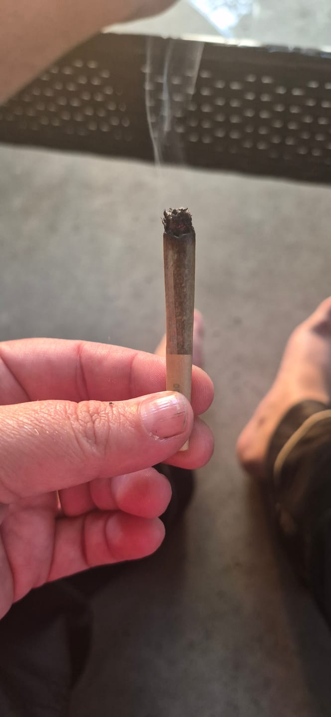 Customer photo review of Berry Gelato - 28 Grams - Indica