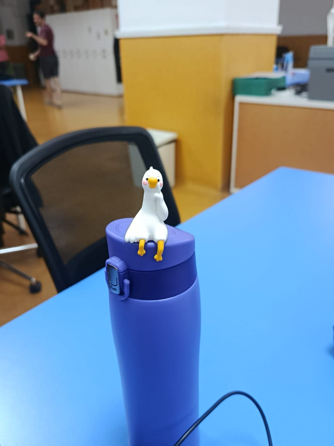 Customer photo review of Lazy Duck Desk Figurines