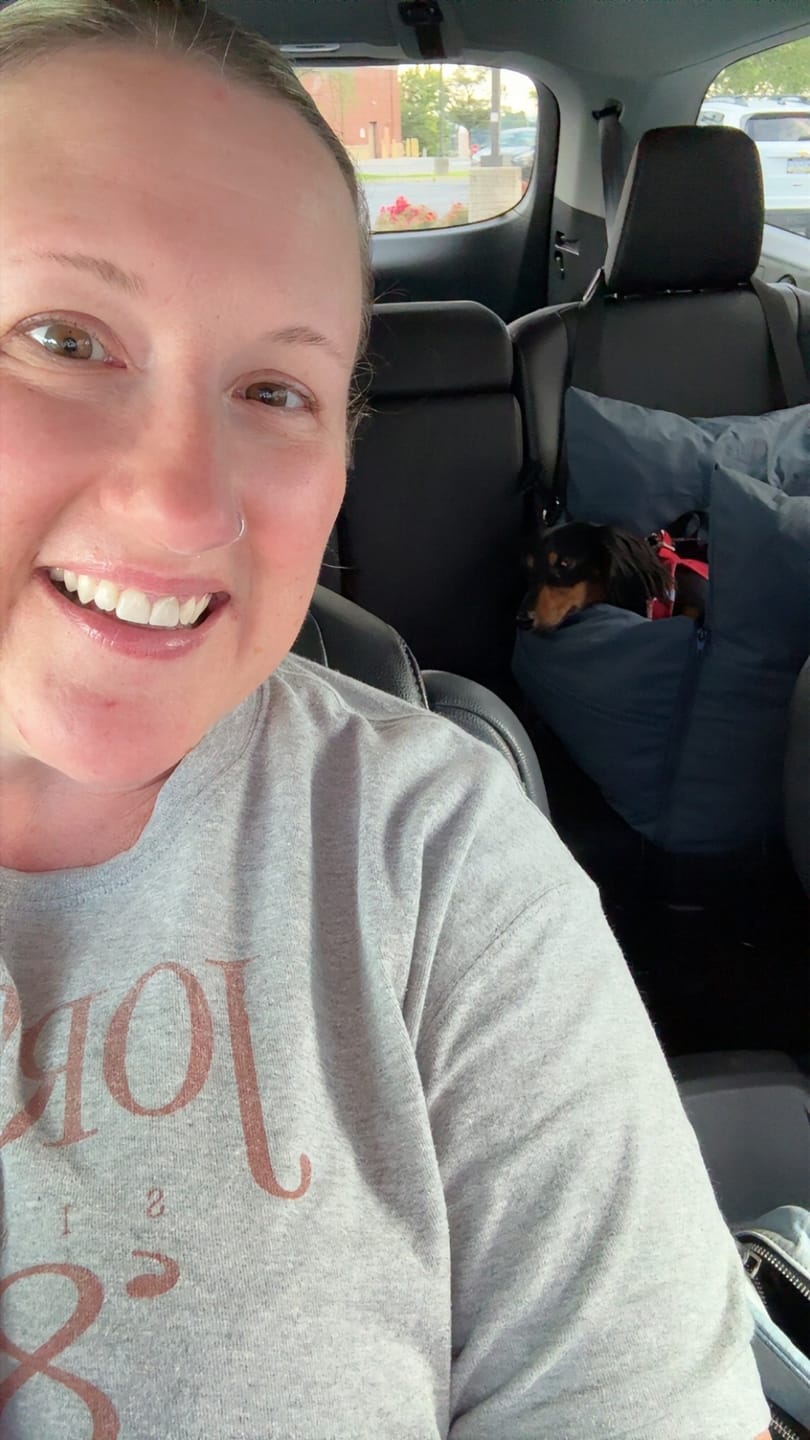Customer photo review of Dog Dock V2 New & Improved LATCH / ISO FIX