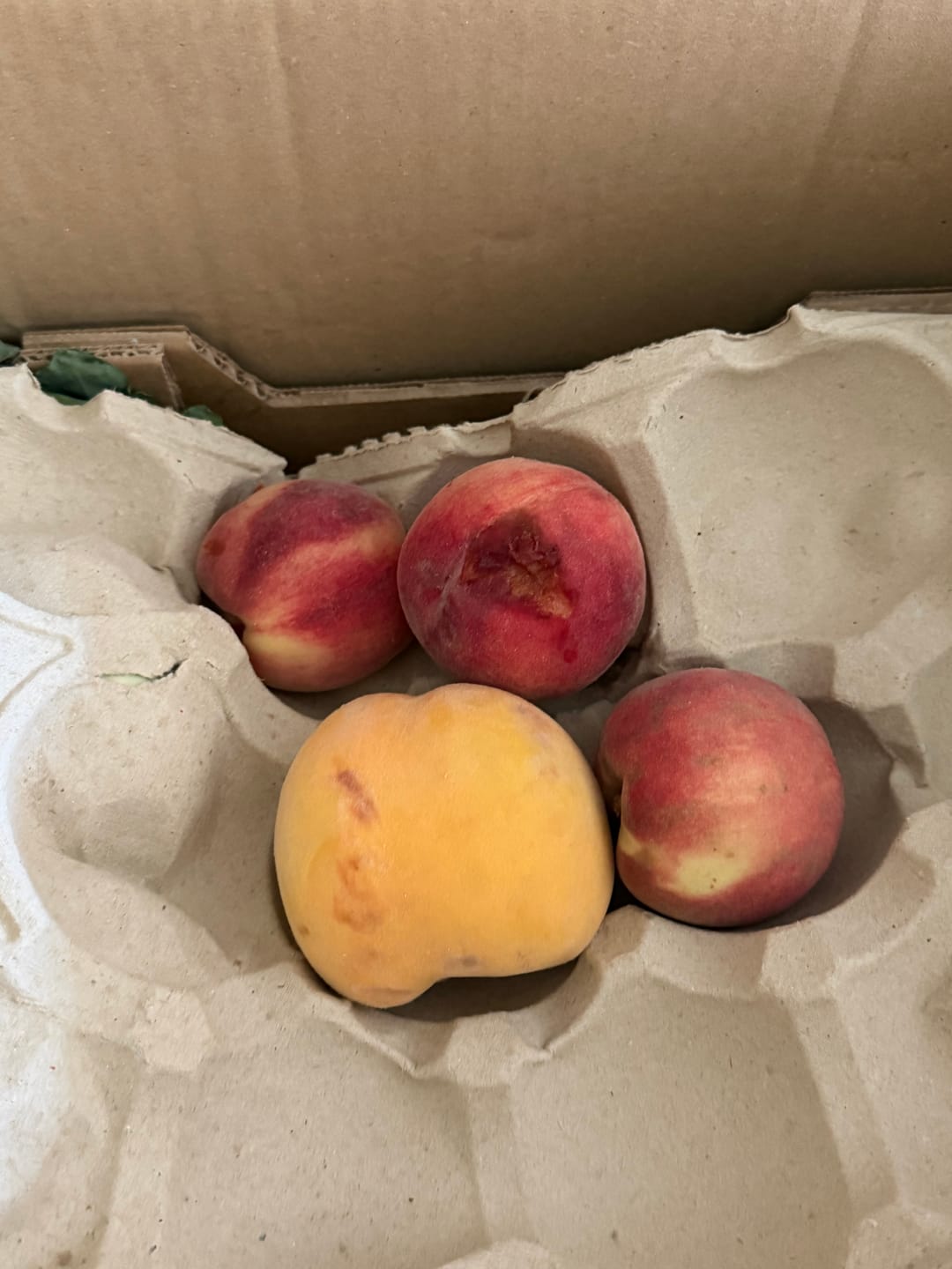 Customer photo review of Pfirsich-Mix "Alte Sorten" Bio von Jose Miguel 3kg Box
