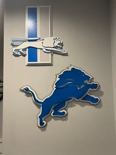 Customer photo review of Detroit Lions - SET of 3 Magnets