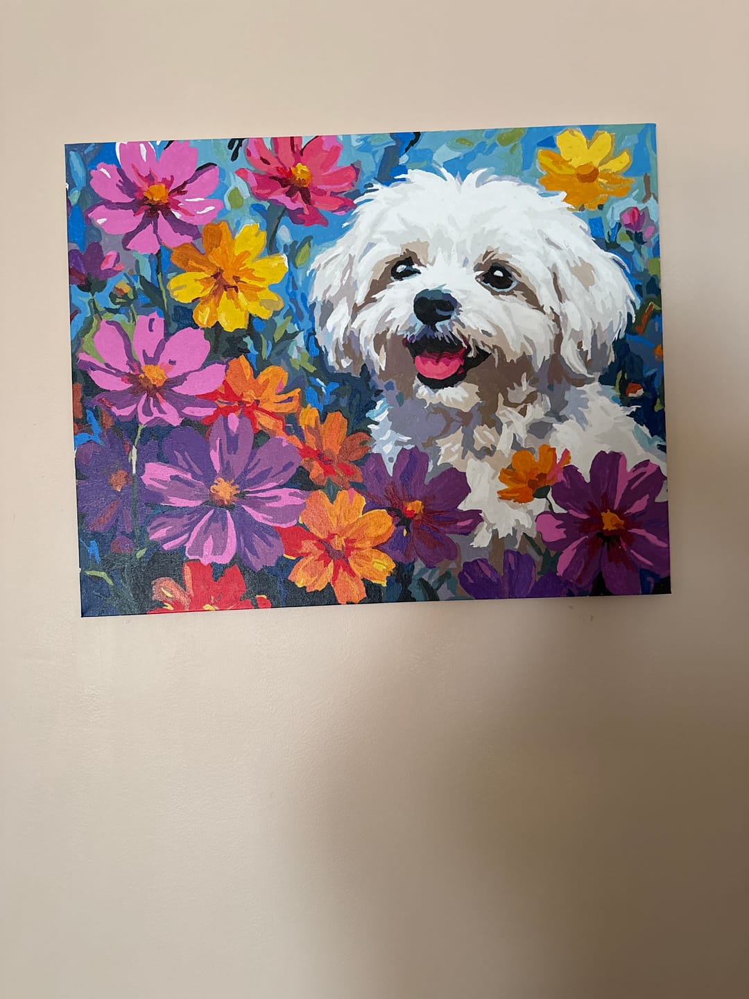 Customer photo review of Happy Dog Flowers
