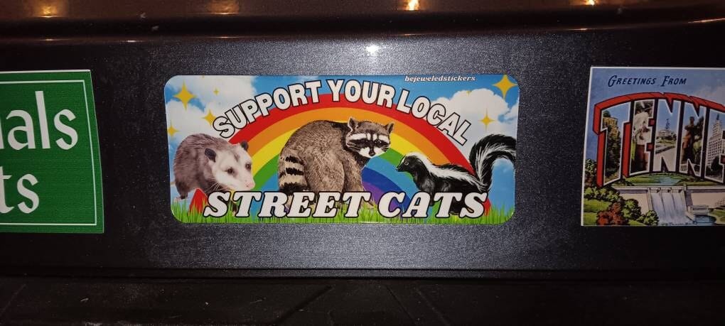 Customer photo review of Support Your Local Street Cats