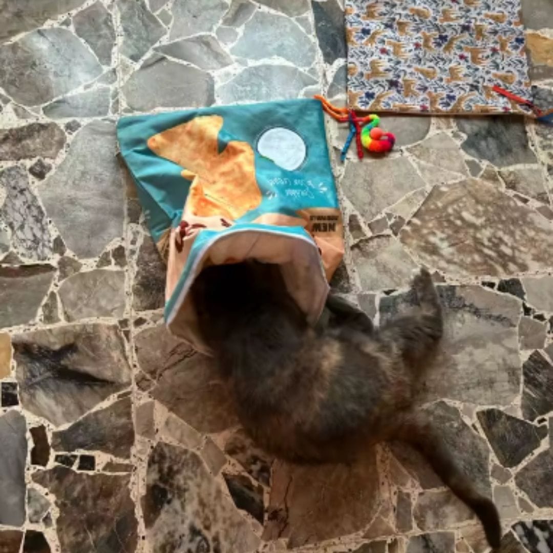 Customer photo review of Crinkle Cat Bed