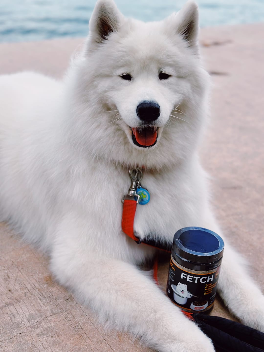 Customer photo review of FETCH Premium Nutritional Supplement for Dogs