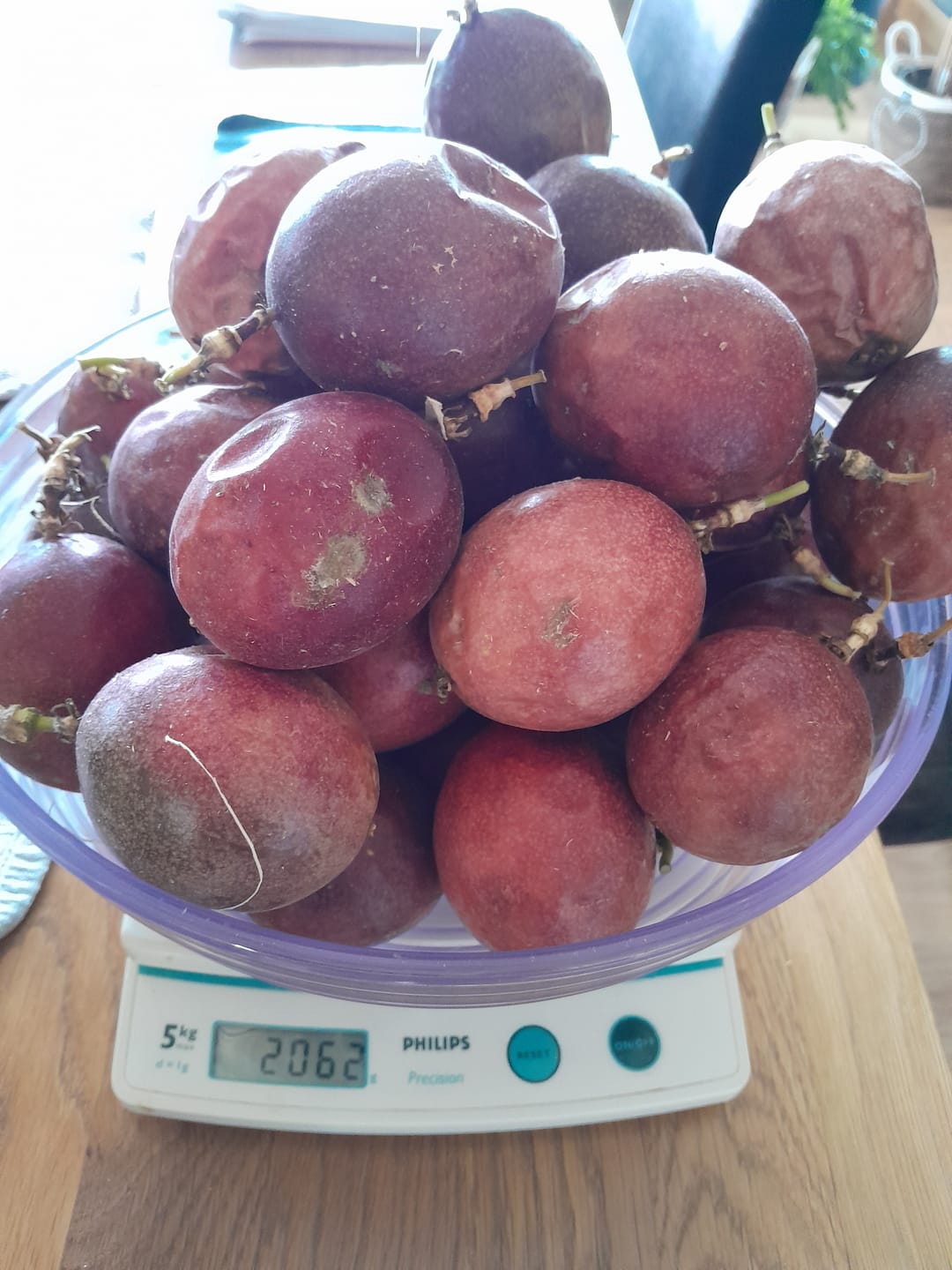 Customer photo review of Passionsfrüchte Bio von Salvador Retteraktion %