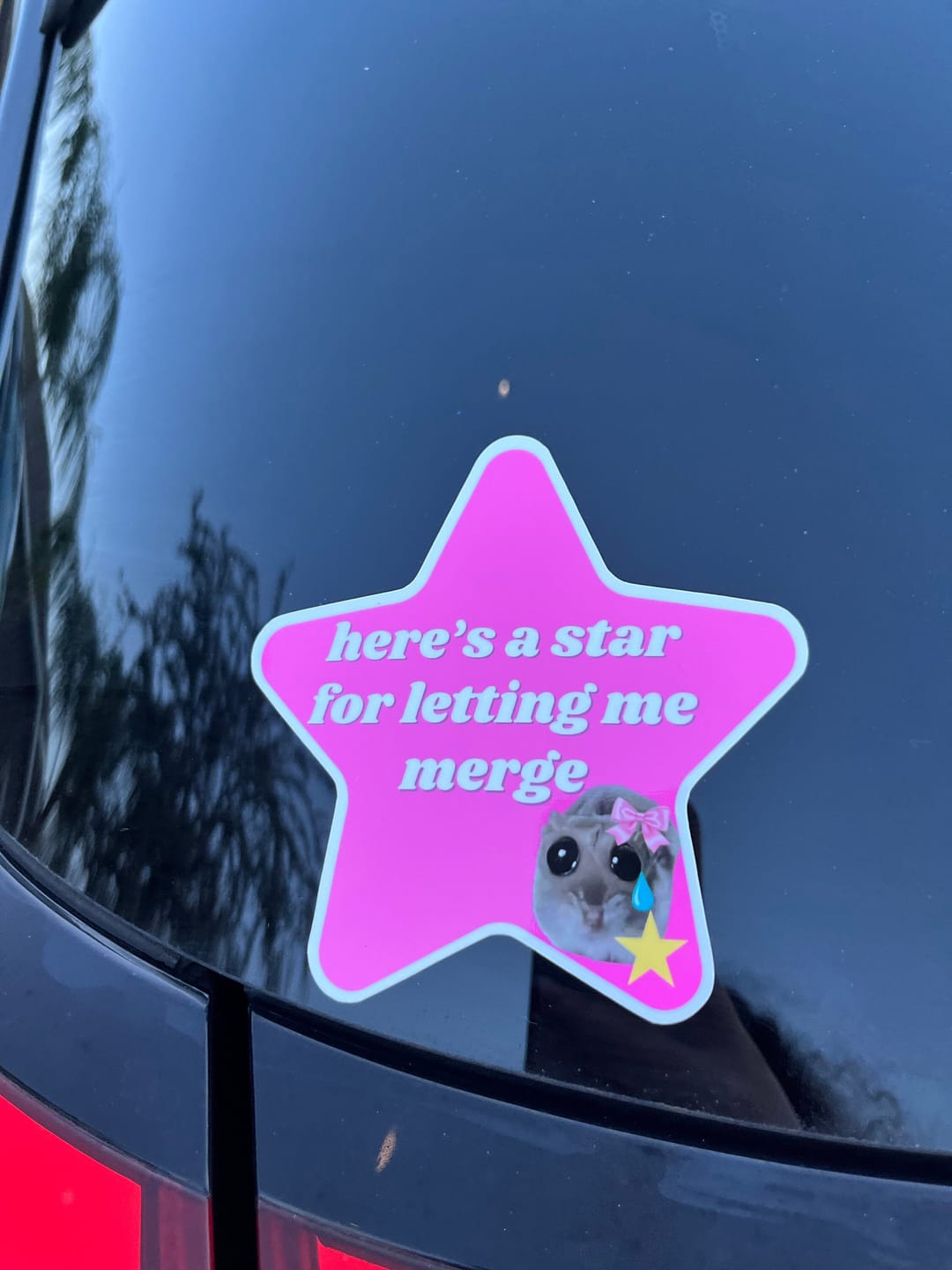 Customer photo review of here's a star for letting me merge hamster