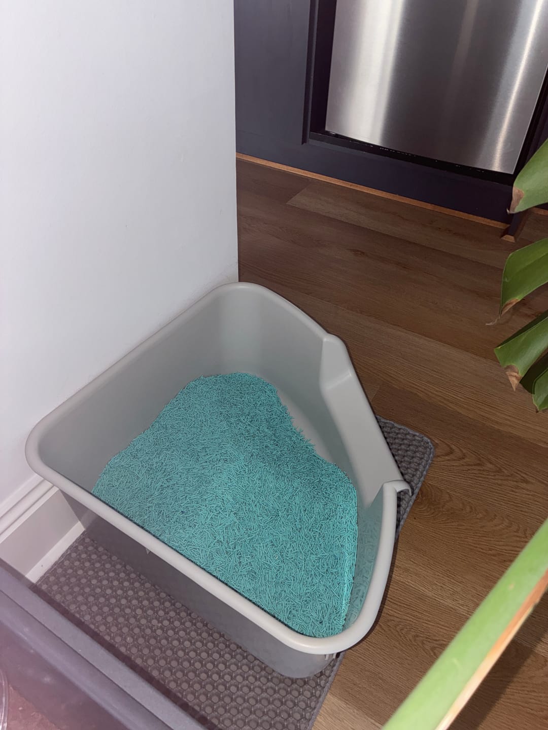 Customer photo review of MICHU Tofu Cat Litter Gen3 6L