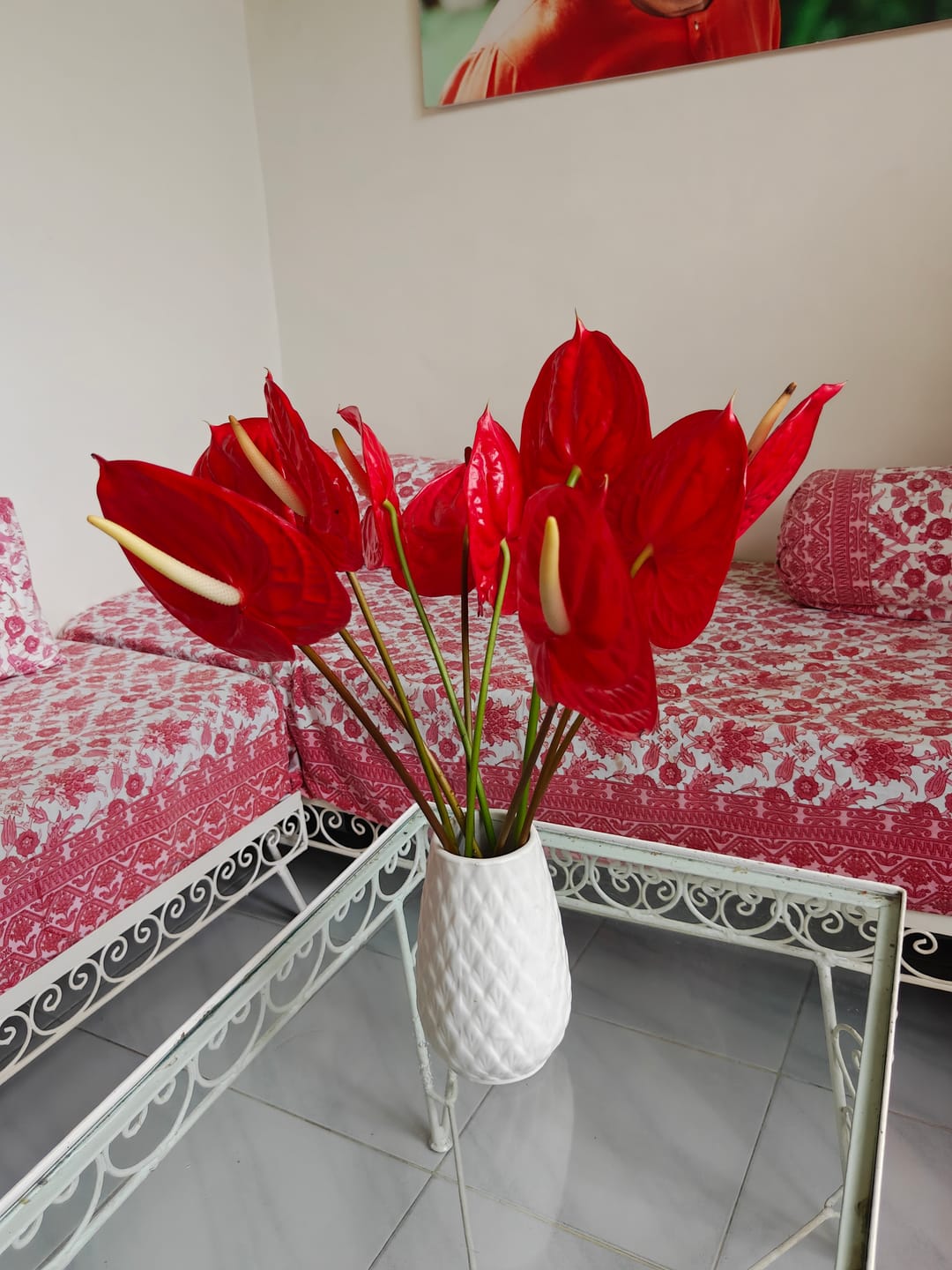 Customer photo review of Anthuriums