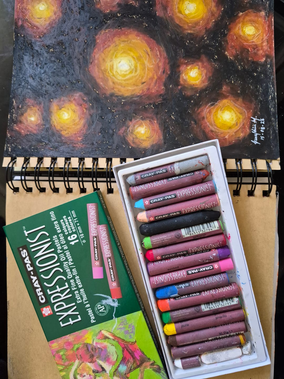 Customer photo review of Sakura Cray-Pas - Set 16 Pasteles al Óleo Expressionist