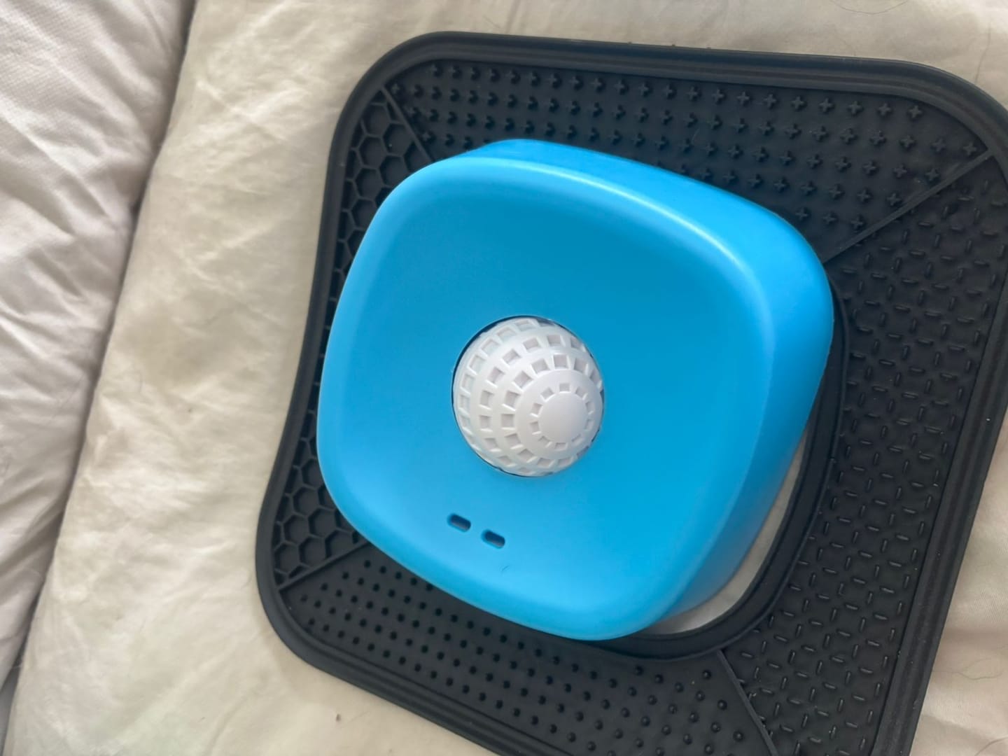 Customer photo review of Giocattolo rilassante per cani