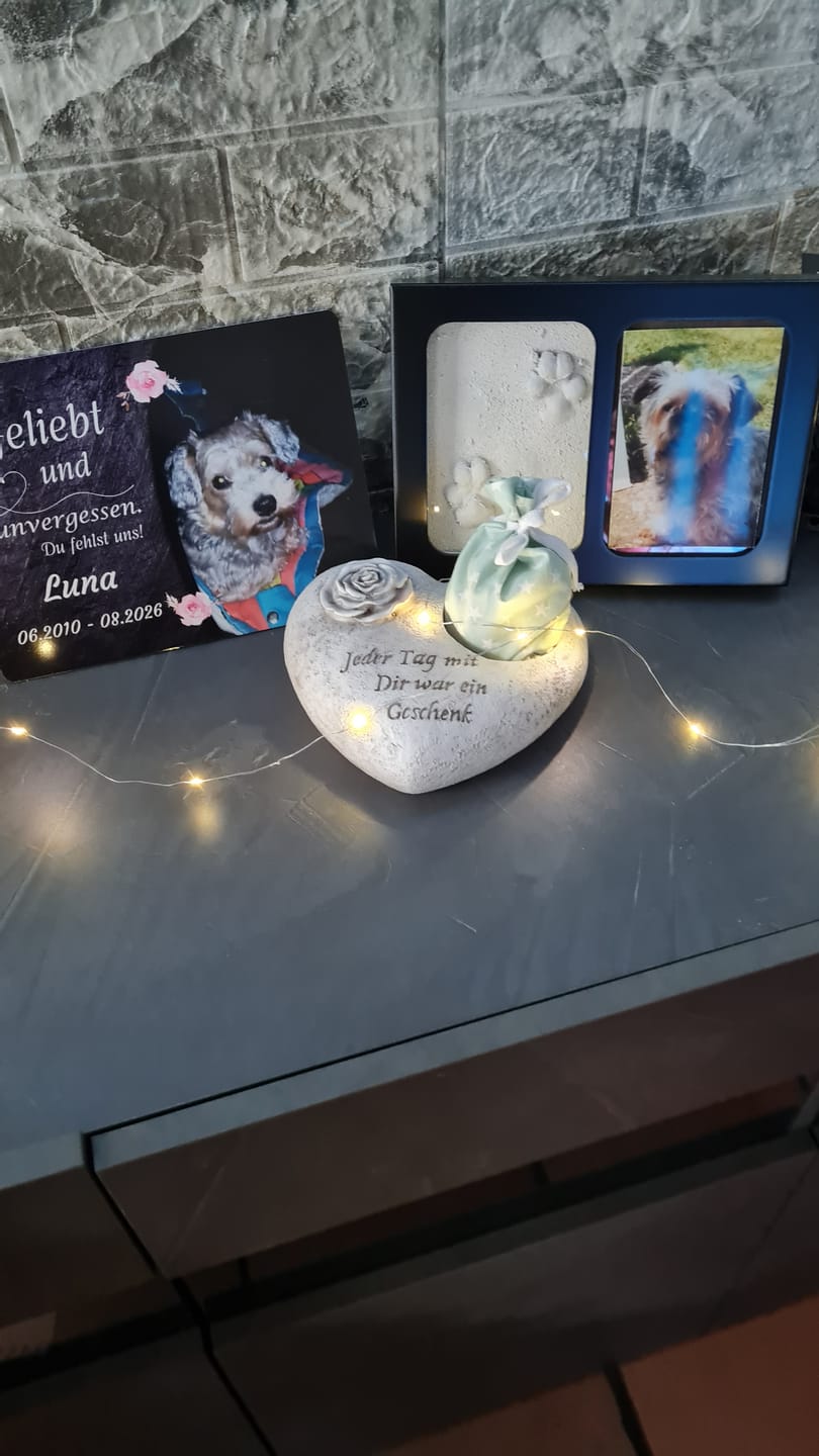 Customer photo review of Hunde Gedenktafel mit Foto & Spruch (UV- &  Wetterfest)