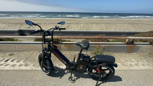 Customer photo review of Wallke H7 Step-thru | All-Wheel Drive Fat Tire eBike