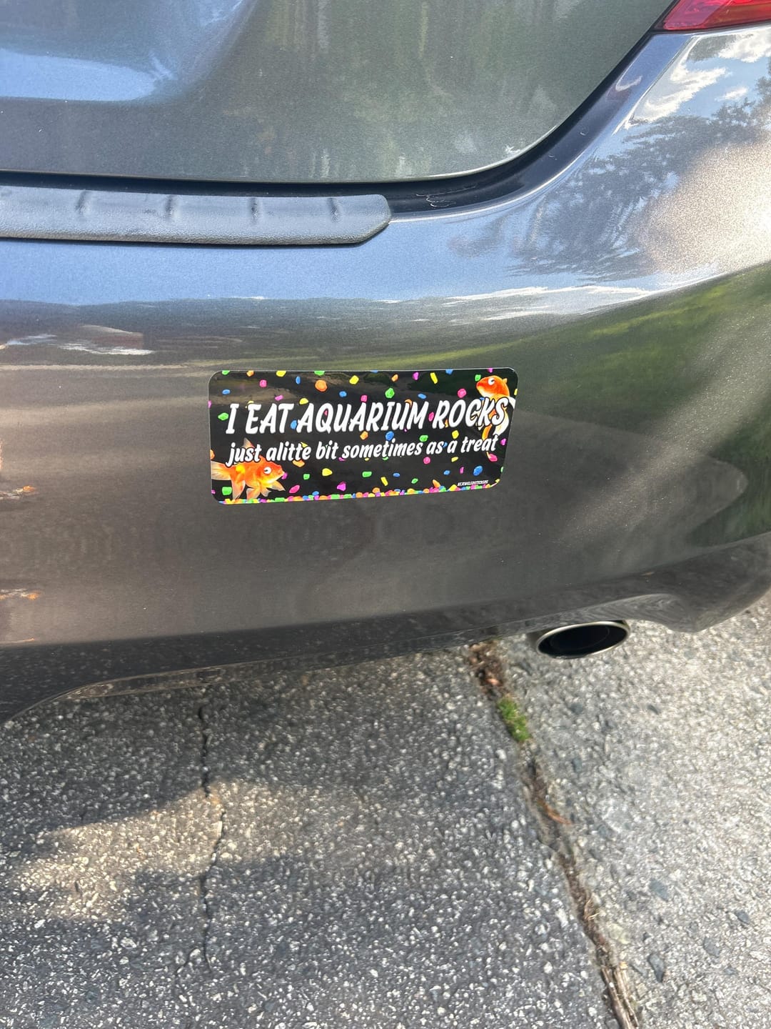Customer photo review of I Eat Aquarium Rocks