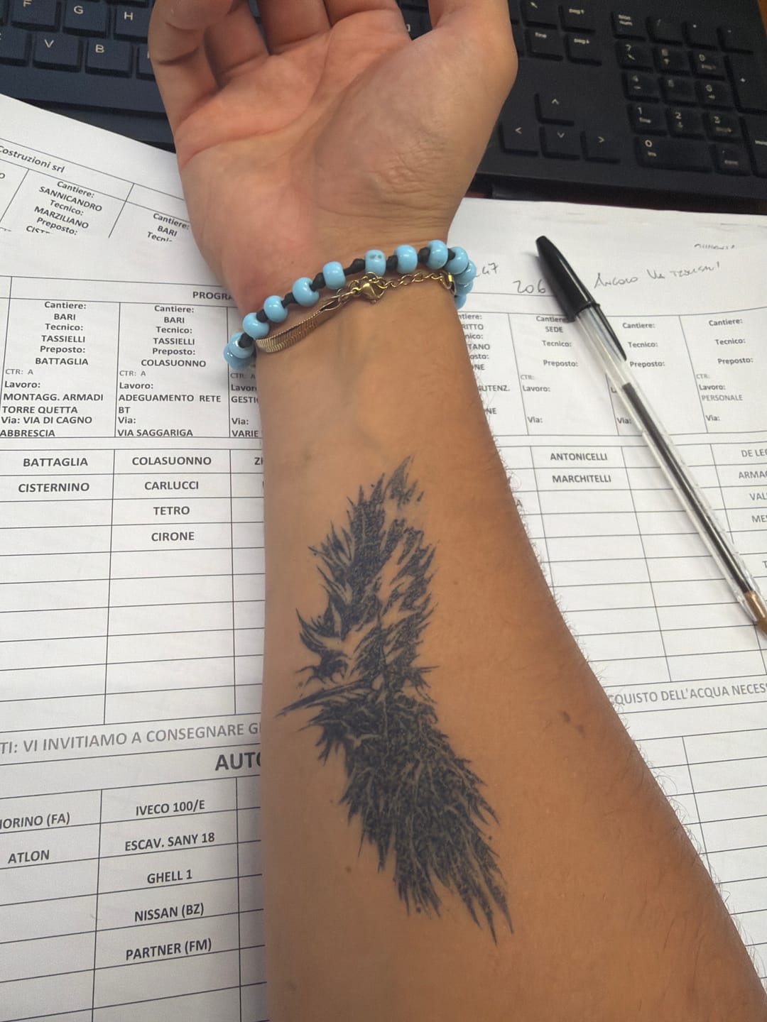 Customer photo review of Ali della morte