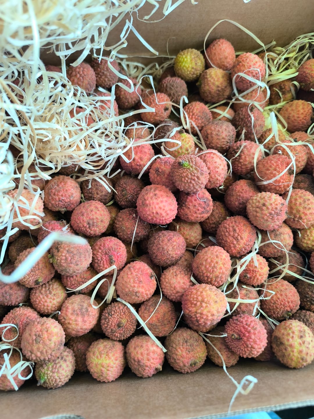 Customer photo review of Litschi (Lychee) Bio von Julian
