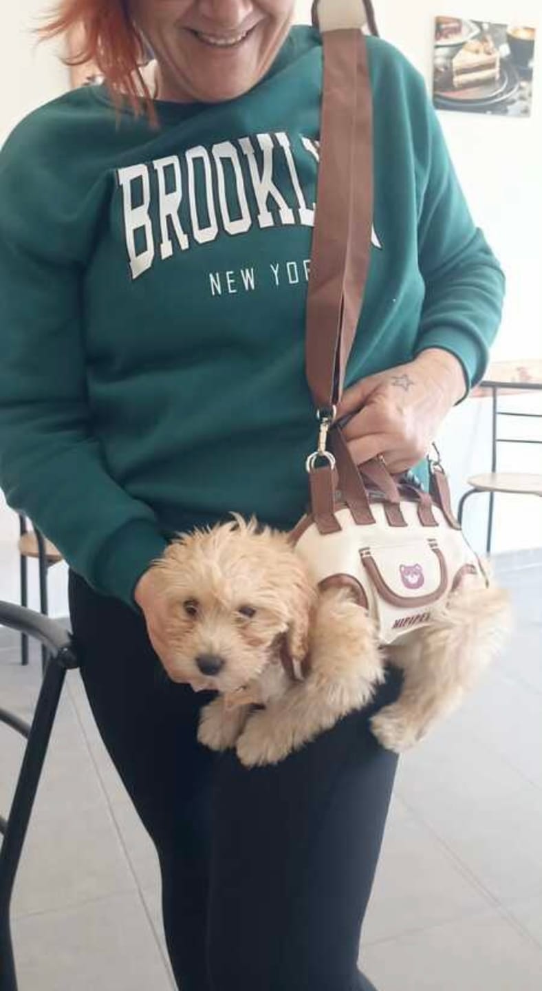 Customer photo review of PawTreck Carrier Backpacks