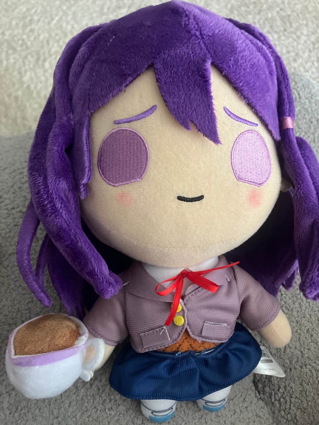 Customer photo review of Doki Doki Literature Club - Yuri Collector's Plush