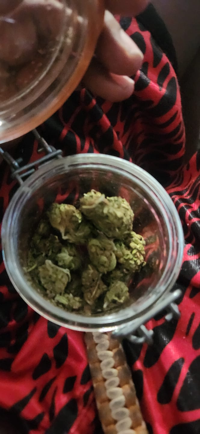 Customer photo review of White Widow MICROS - 28 Grams - Hybrid
