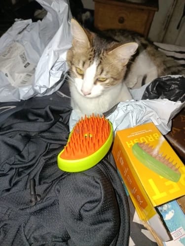 Customer photo review of Cepillo Mascotas con vaporizador