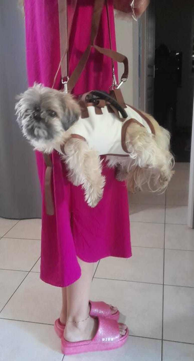 Customer photo review of PawTreck Carrier Backpacks
