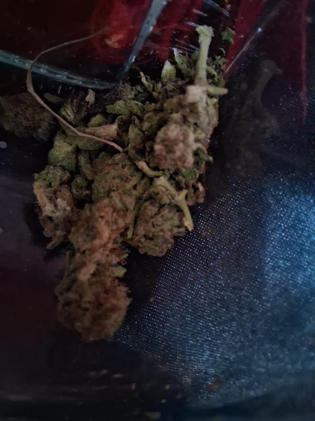 Customer photo review of Purple Octane - Bulk - Indica