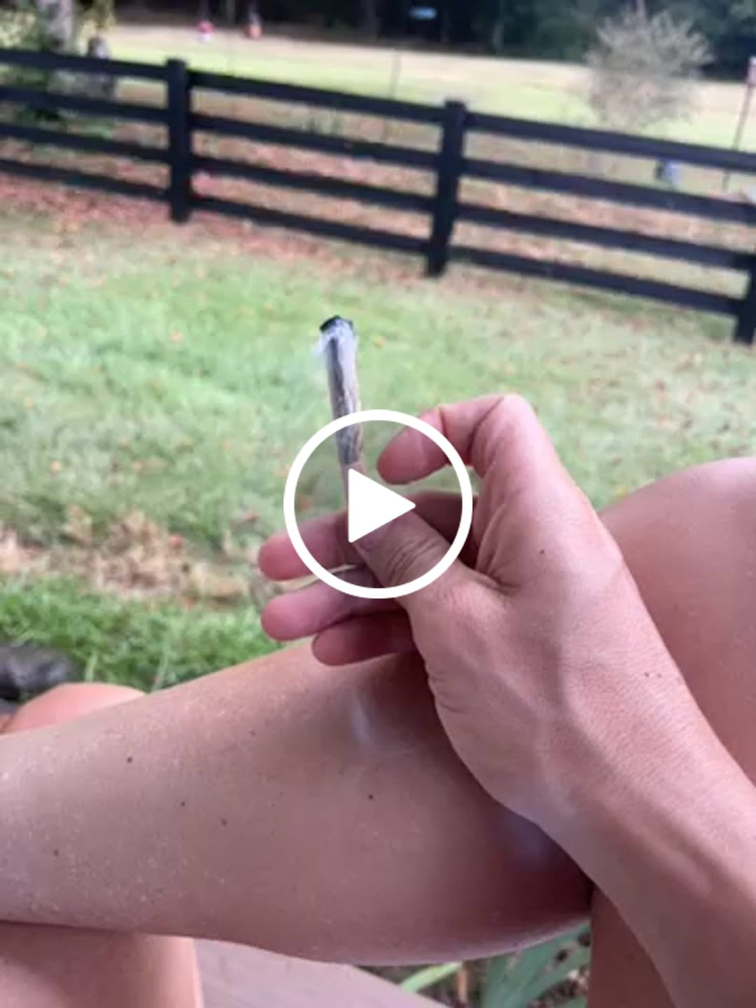 Customer video review of Grapefruit Diesel (Indoor Smalls) - THCA Flower