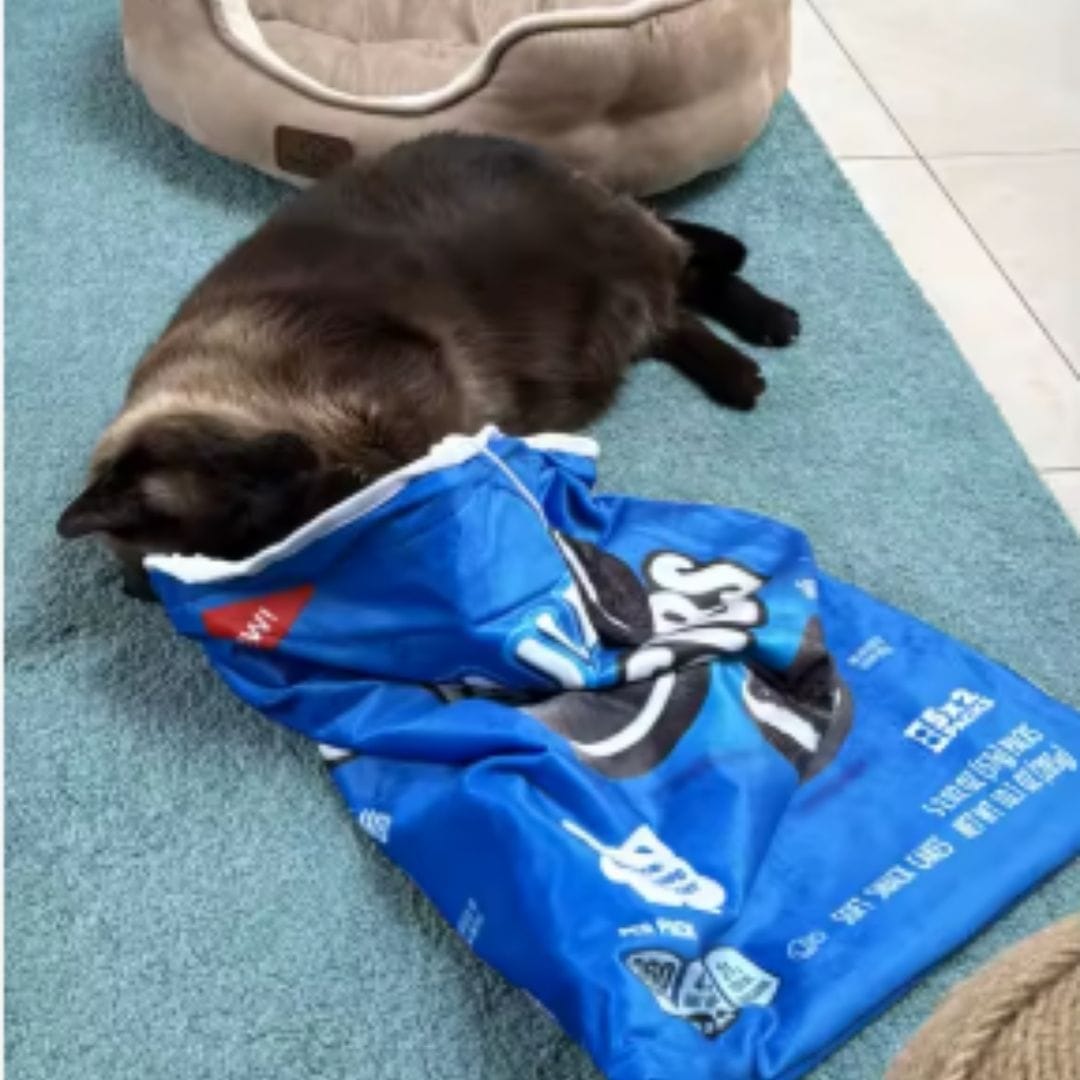 Customer photo review of Crinkle Cat Bed