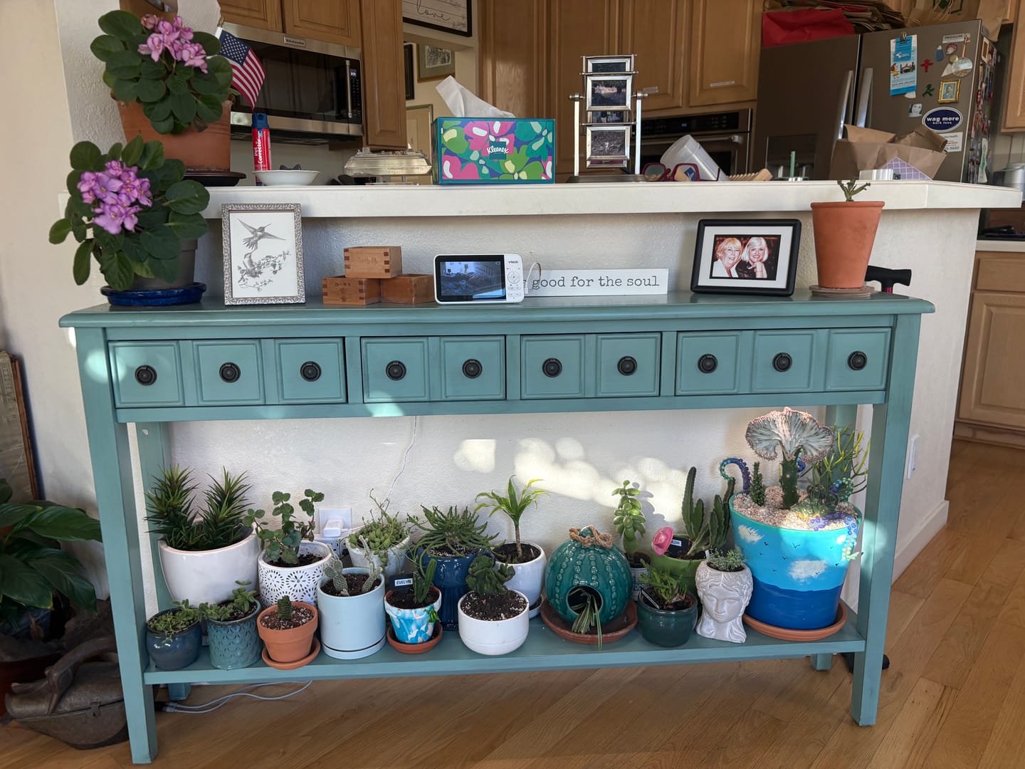 Customer photo review of Buddha’s Temple Crassula