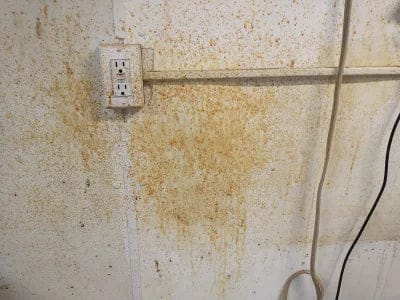 Customer photo review of 🏆 Heavy-Duty Kitchen Degreaser Spray – Fast Grease Remover 🍑