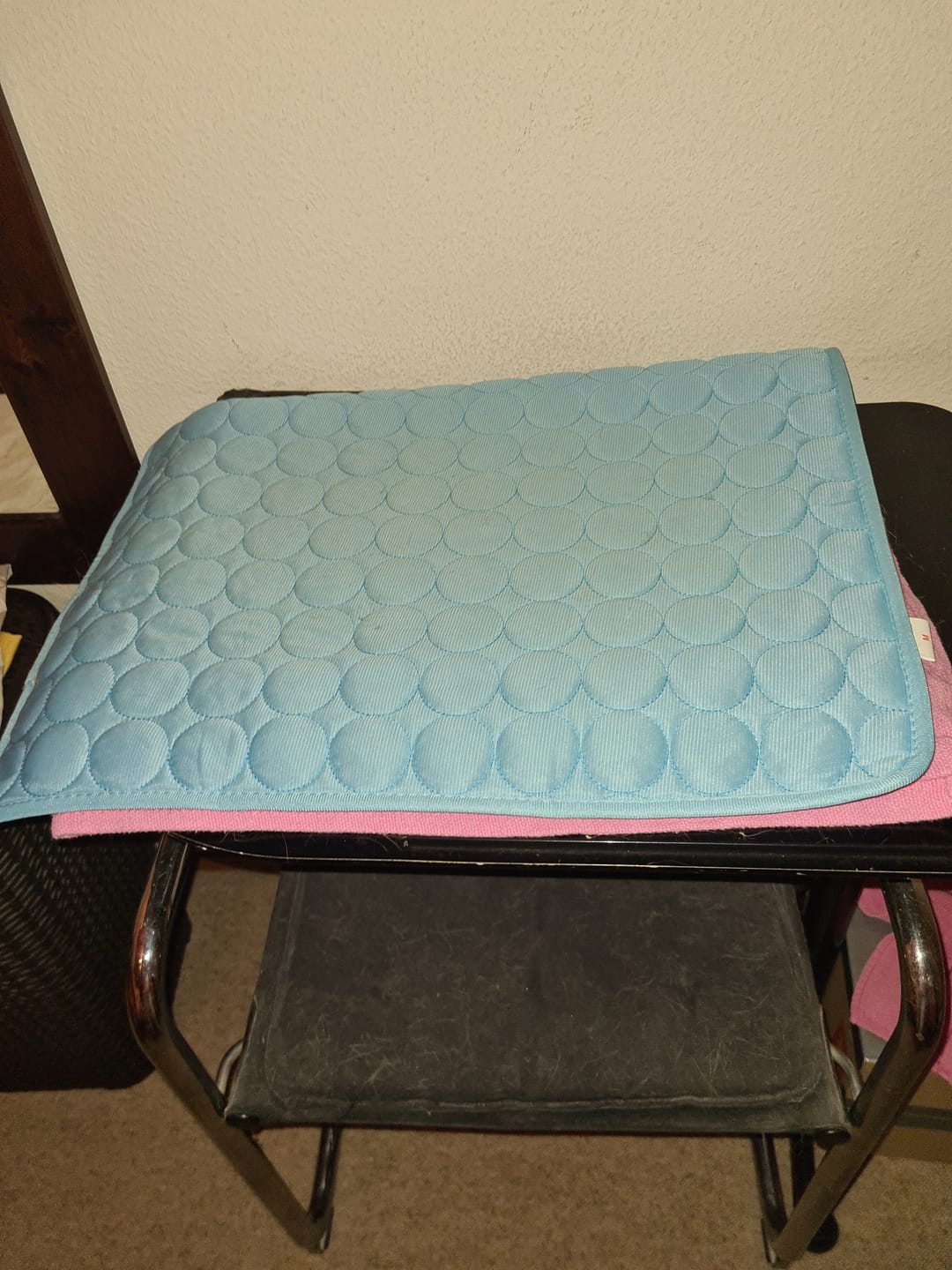 Customer photo review of Tapis Rafraîchissant pour Chat – Offrez-lui un confort immédiat